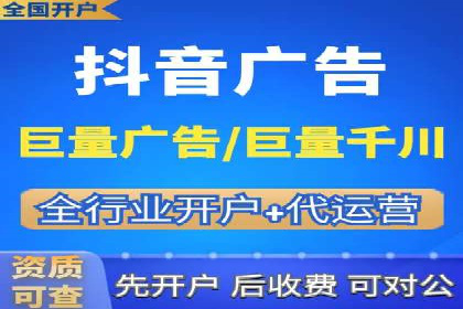 成功SEM服务案例分析报告